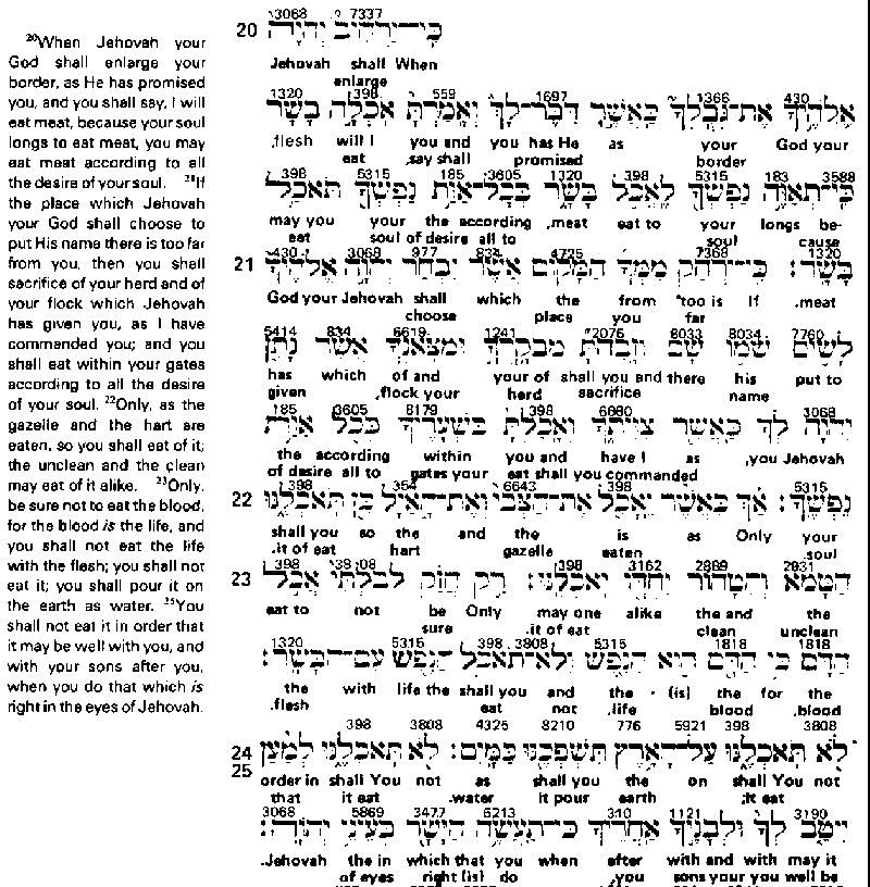 the greek interlinear bible